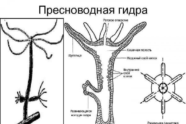 Кракен маркет что это